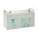 Acumulator industrial Yuasa 12V 100Ah (NPL100-12)