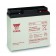 Acumulator industrial Yuasa 12V 17Ah (NP17-12I)