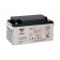 Acumulator industrial Yuasa 12V 65Ah (NP65-12I)
