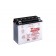 Baterie moto Yuasa YuMicron 12V 18Ah (YB18-A)